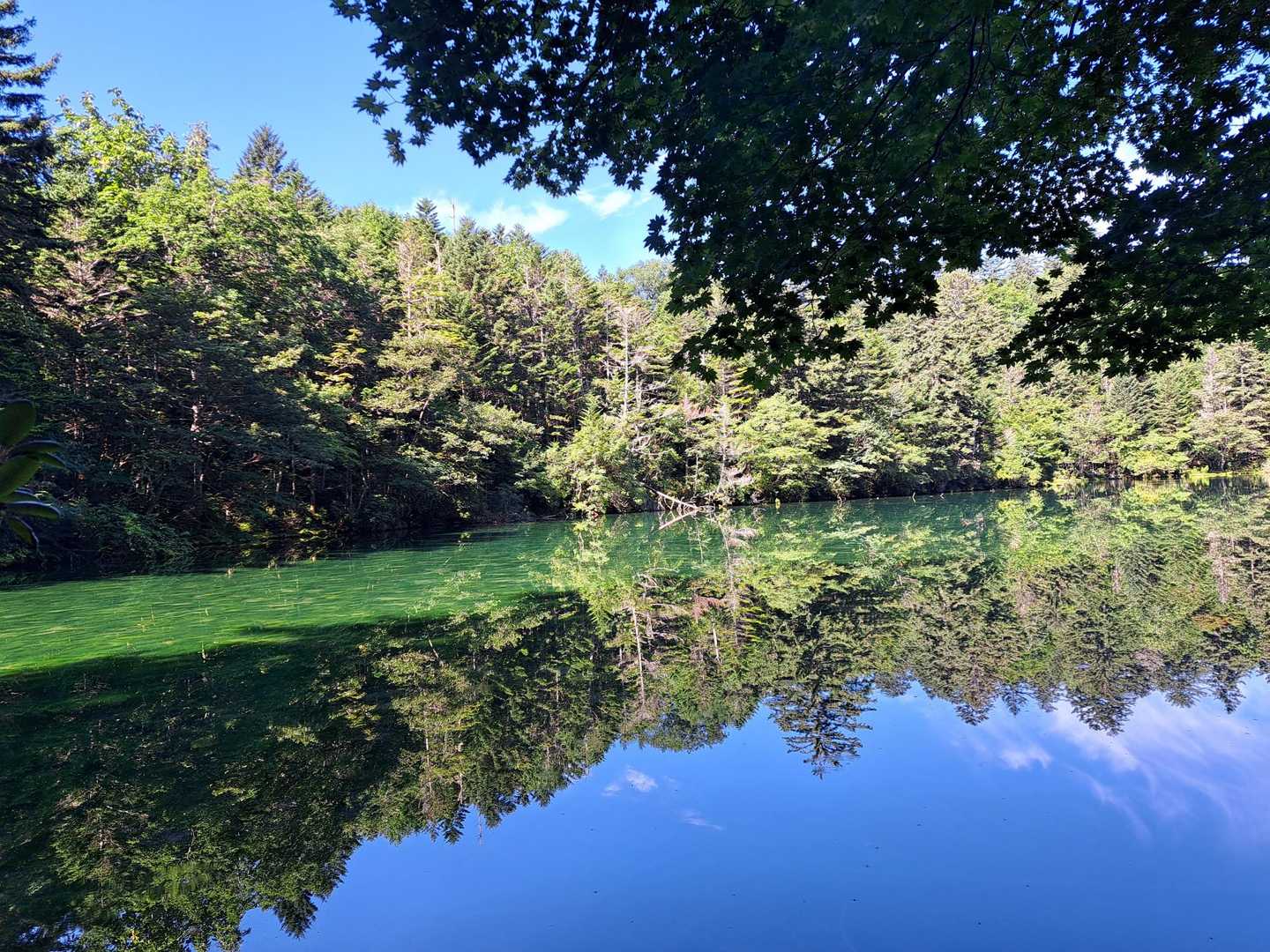 次郎湖
リフレクション