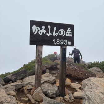 驚きの白さ