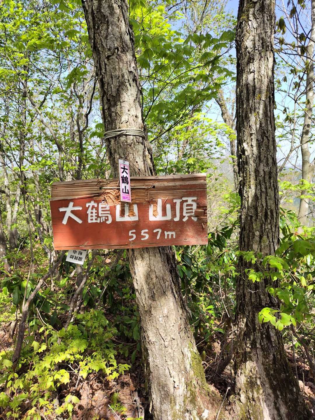 大杉みどりの里バス停-城山-大鶴山-中谷山 周回コースの写真