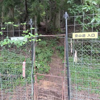 途中ガサゴソ音してヒヤッとしたけど、無事下山‼️