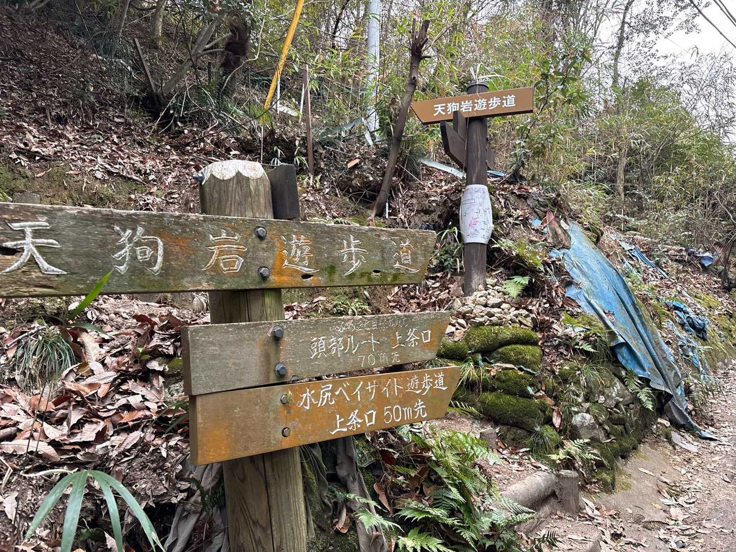 下山後は温泉→居酒屋で盛り上がり🍺