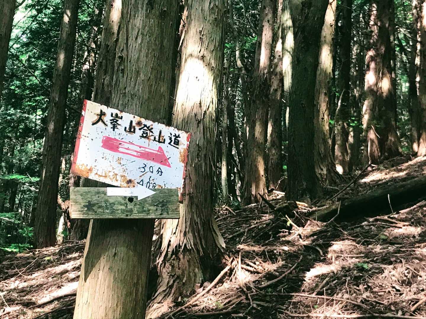 頂上まで
30分〜40分😩ﾋｴｰ