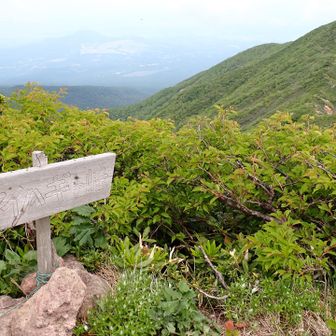 アイハギの嶺。時間あれば不忘山まで行ってみようと思ったのですが、この先、石ゴロゴロでチェーンの急坂で、危険を感じ、これは時間を要するなと思い、出発時間が10時過ぎと少し遅めだったので、引き返しました！