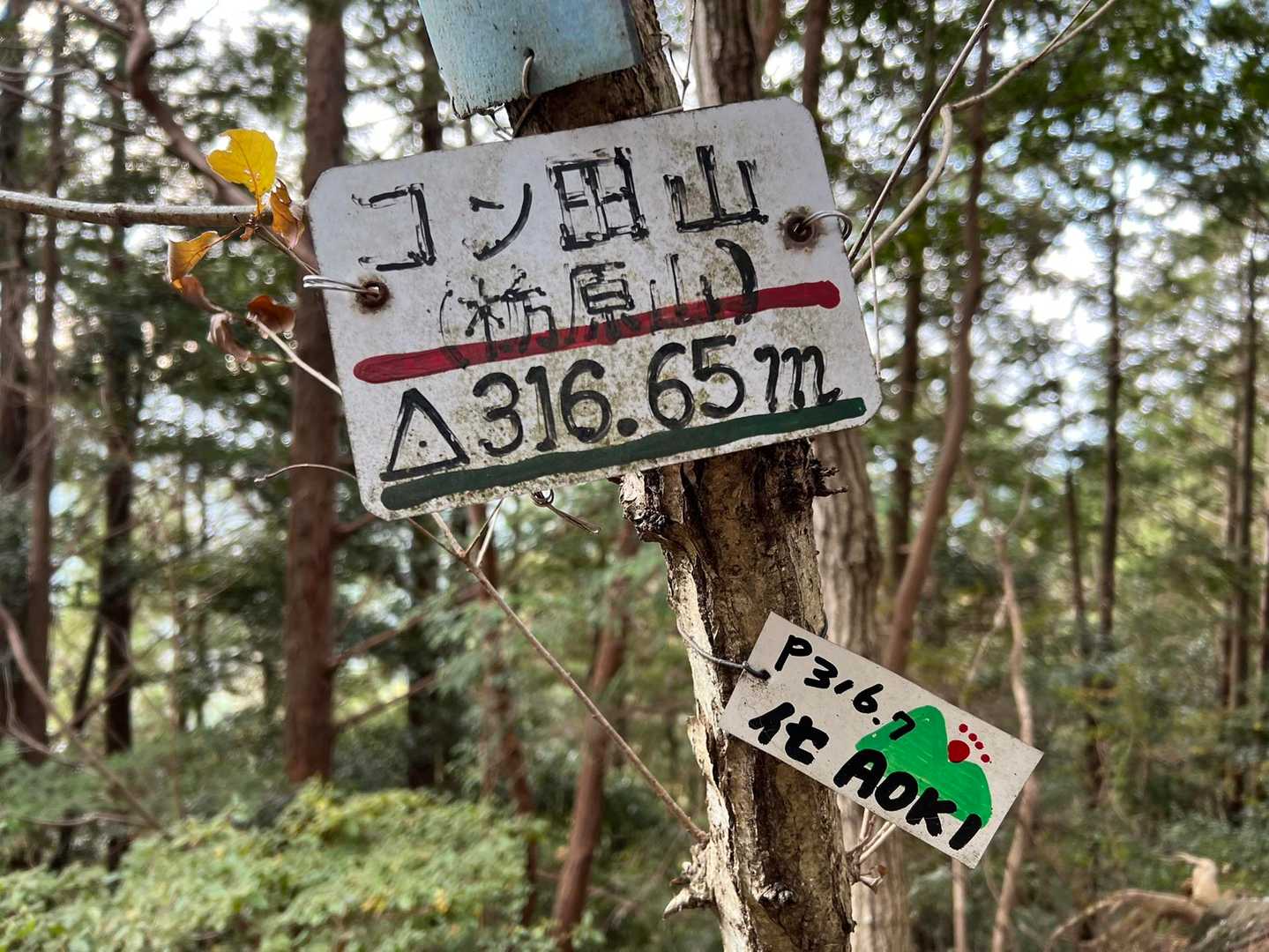 コン田山😀栃原山ともいうのかな😲？