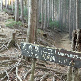 長岩峠