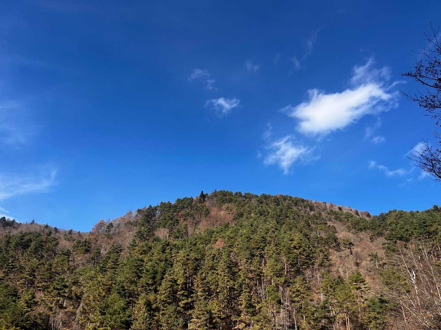 登った杓子山
良き山だった