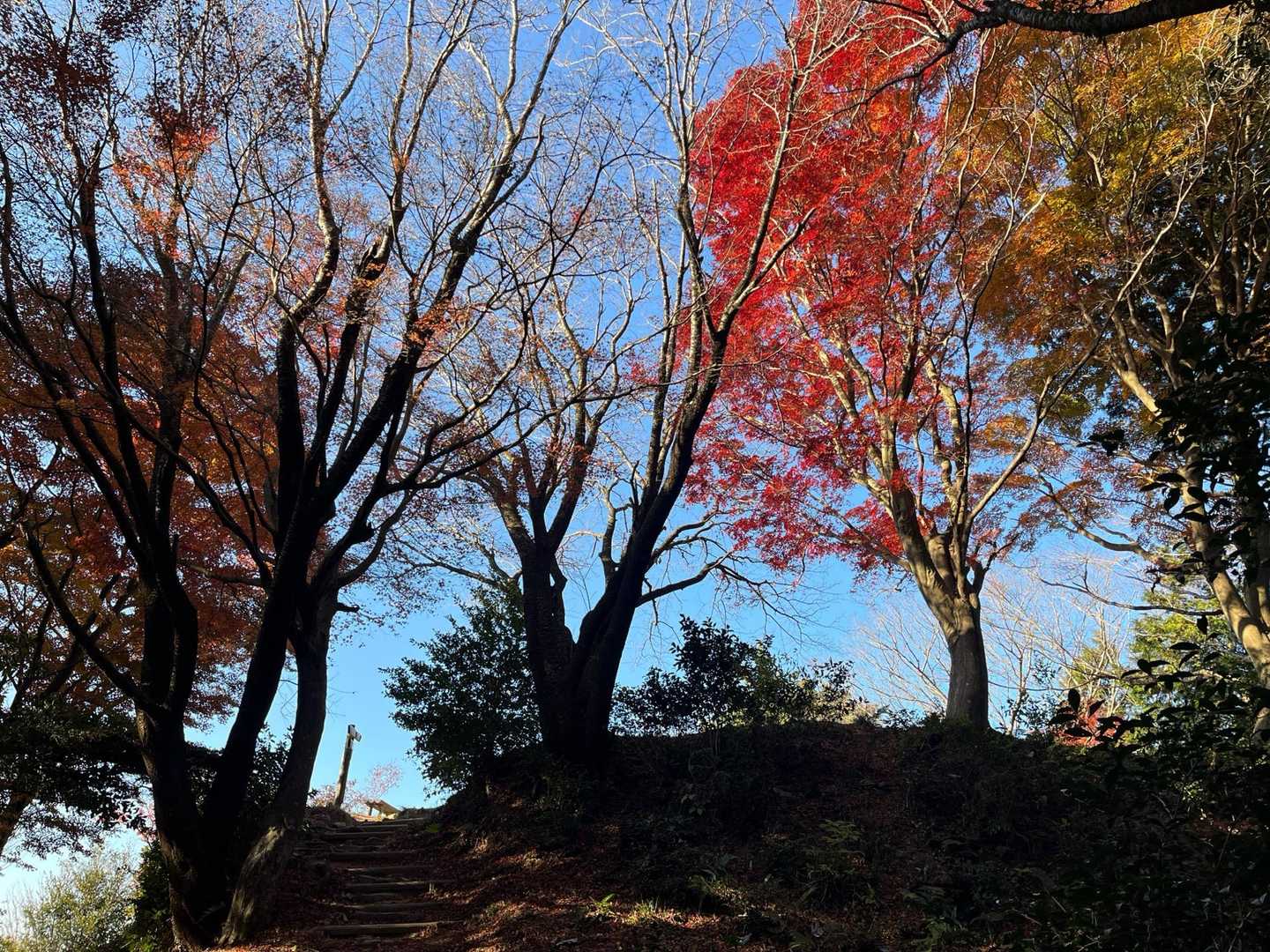 内山コース登山口-宮路山 往復コースの写真