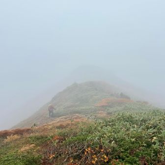 ☂️で真っ白で…
いつもの下山コントもなくお互い黙々歩く🤣