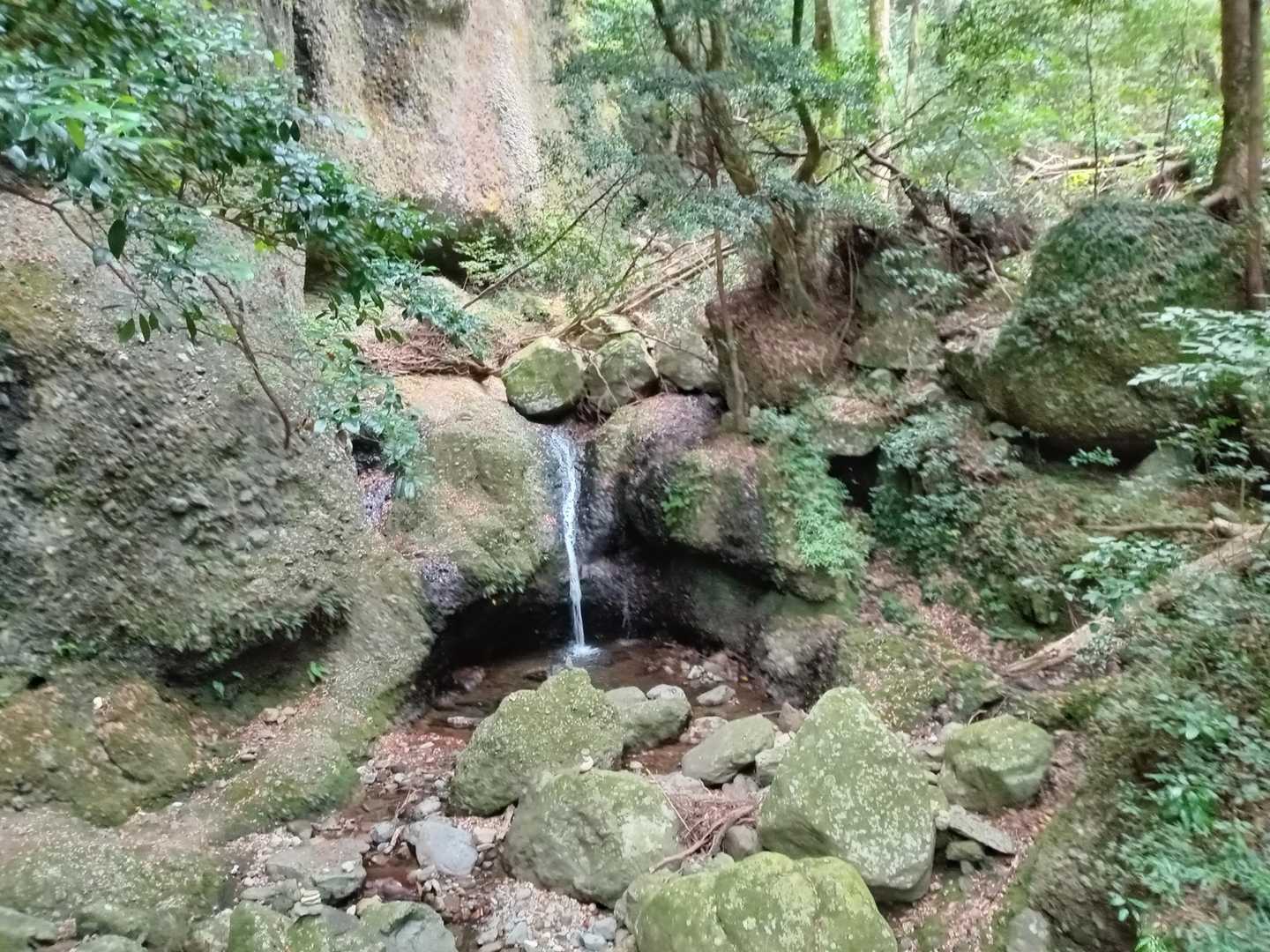 時間があれば滝に打たれる予定でしたが・・・・。