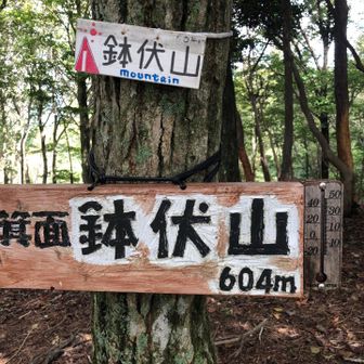 鉢伏山まではピクニック気分で行けます