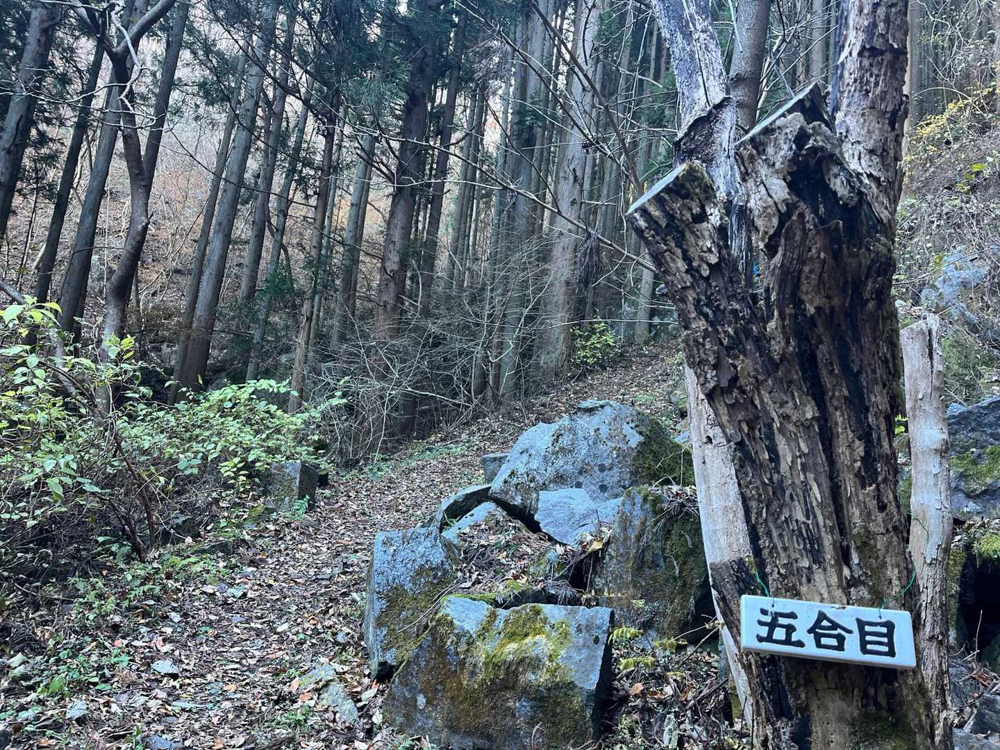 あーやっと半分
皆さんのレポどおり
急登の連続だ