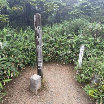 山頂！三角点！