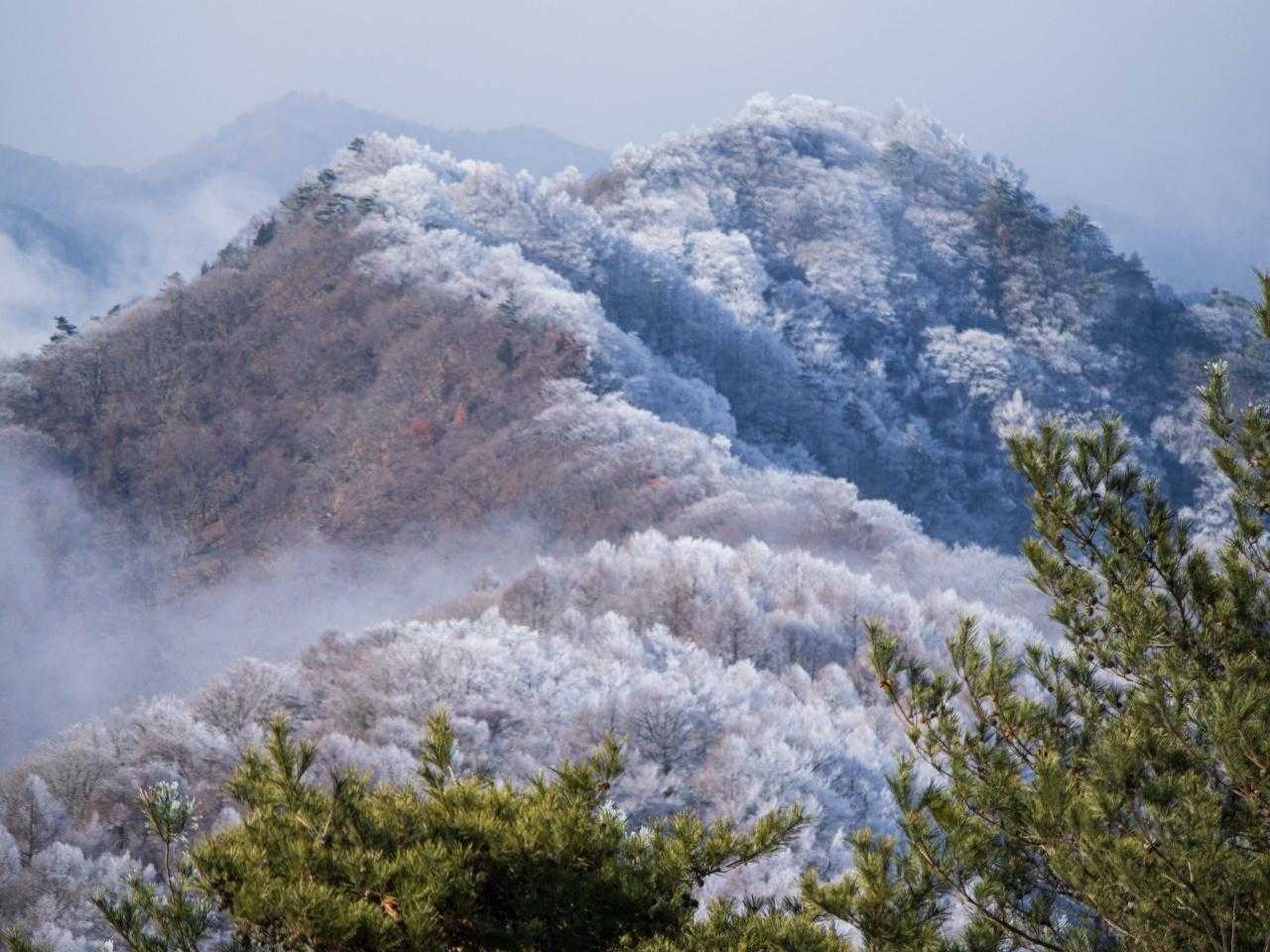 表参道登山口-太郎山 往復コースの写真