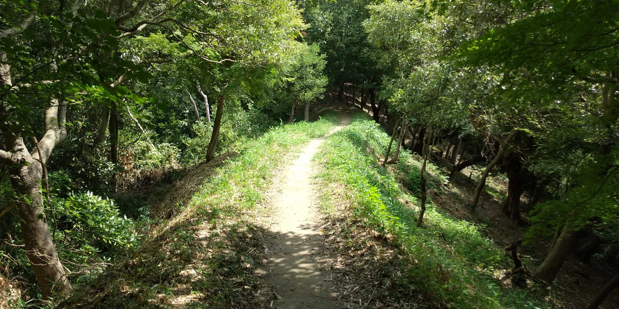 タタラ山の後、気持ちよい尾根道。