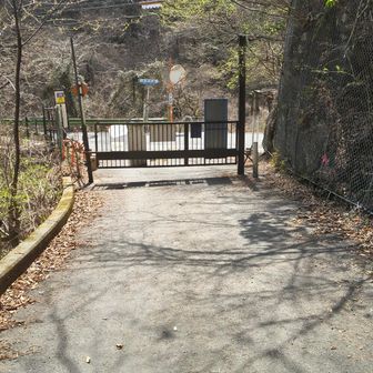 道路をサラッとあるき川乗橋バス停で終了
のはずが、バスくるまで４０分！奥多摩駅まで３ｋｍだし歩くか・・・
