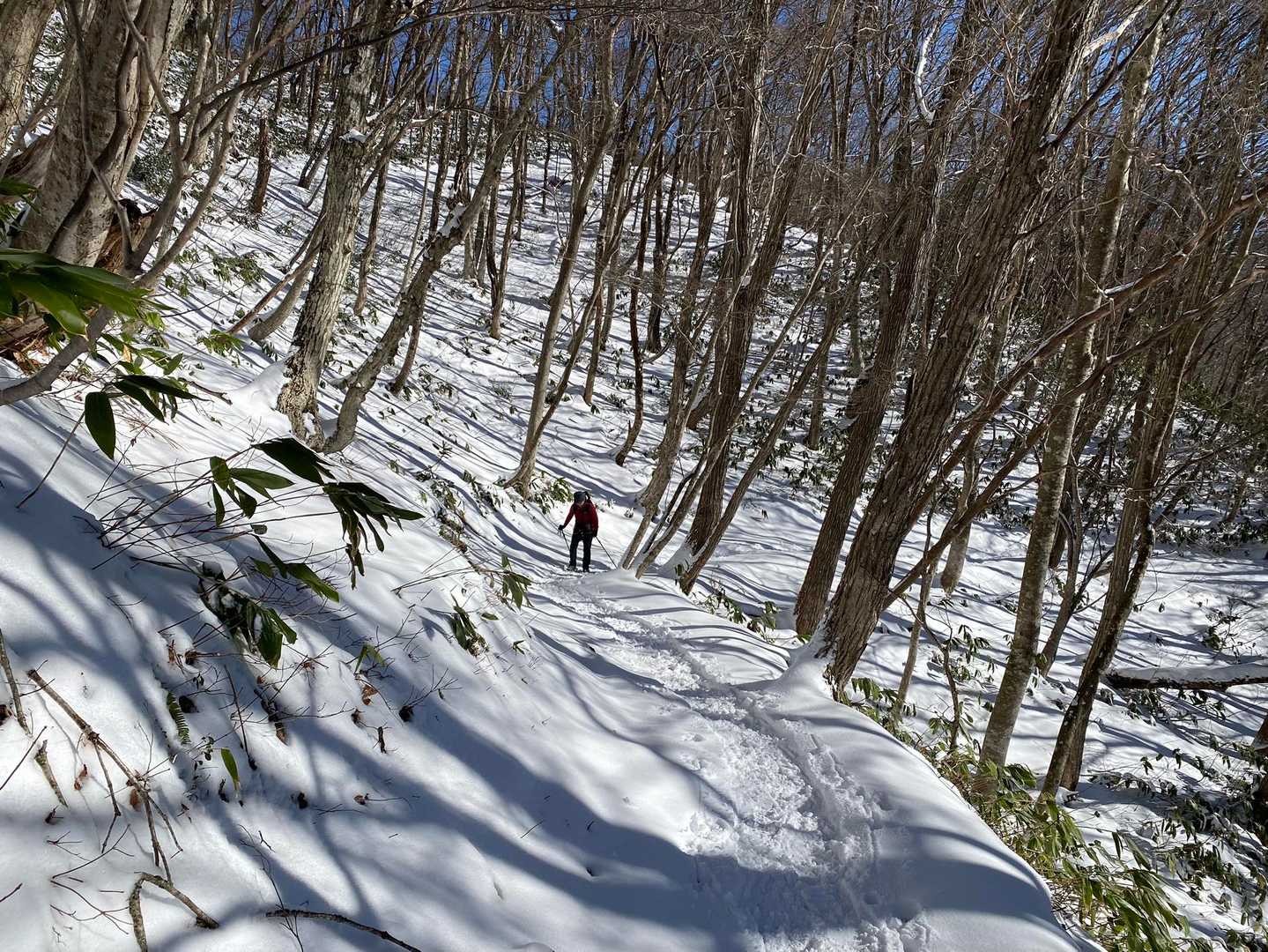 この辺は新雪は10センチ程度。
チェーンスパイクで充分です。