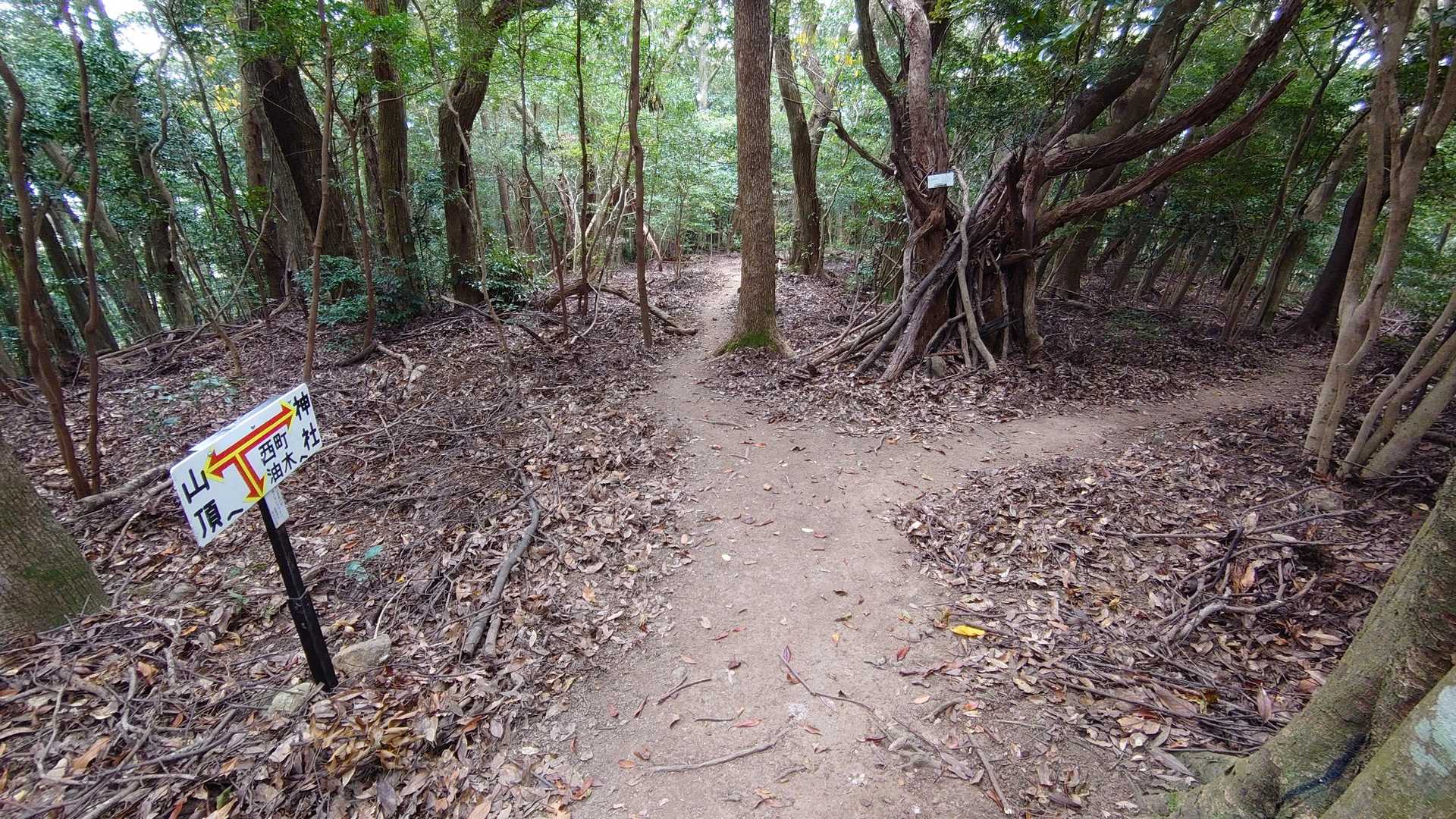 ト字分岐を神社方向へ直進する。