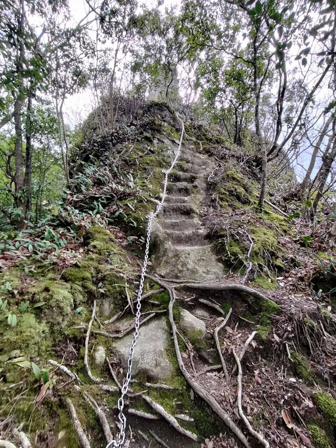 2番目の鎖場⛓️
鎖を使わなくても平気です