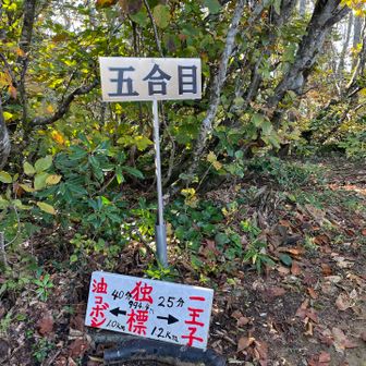 ２時間弱で五合目に到着♪ここまで登ればひと安心😮‍💨
