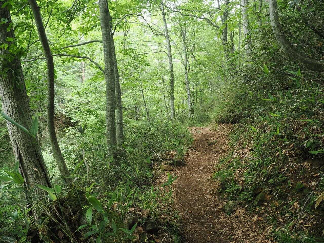 三平峠へ登っていく。