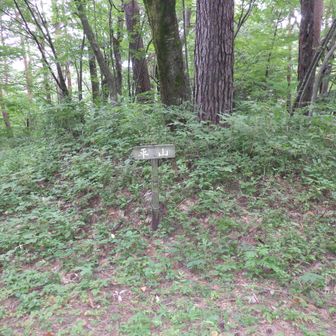一つ目のピーク、平山(32m)