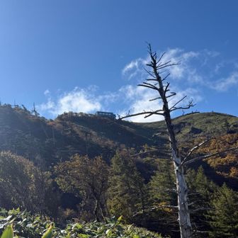 晴天☀️