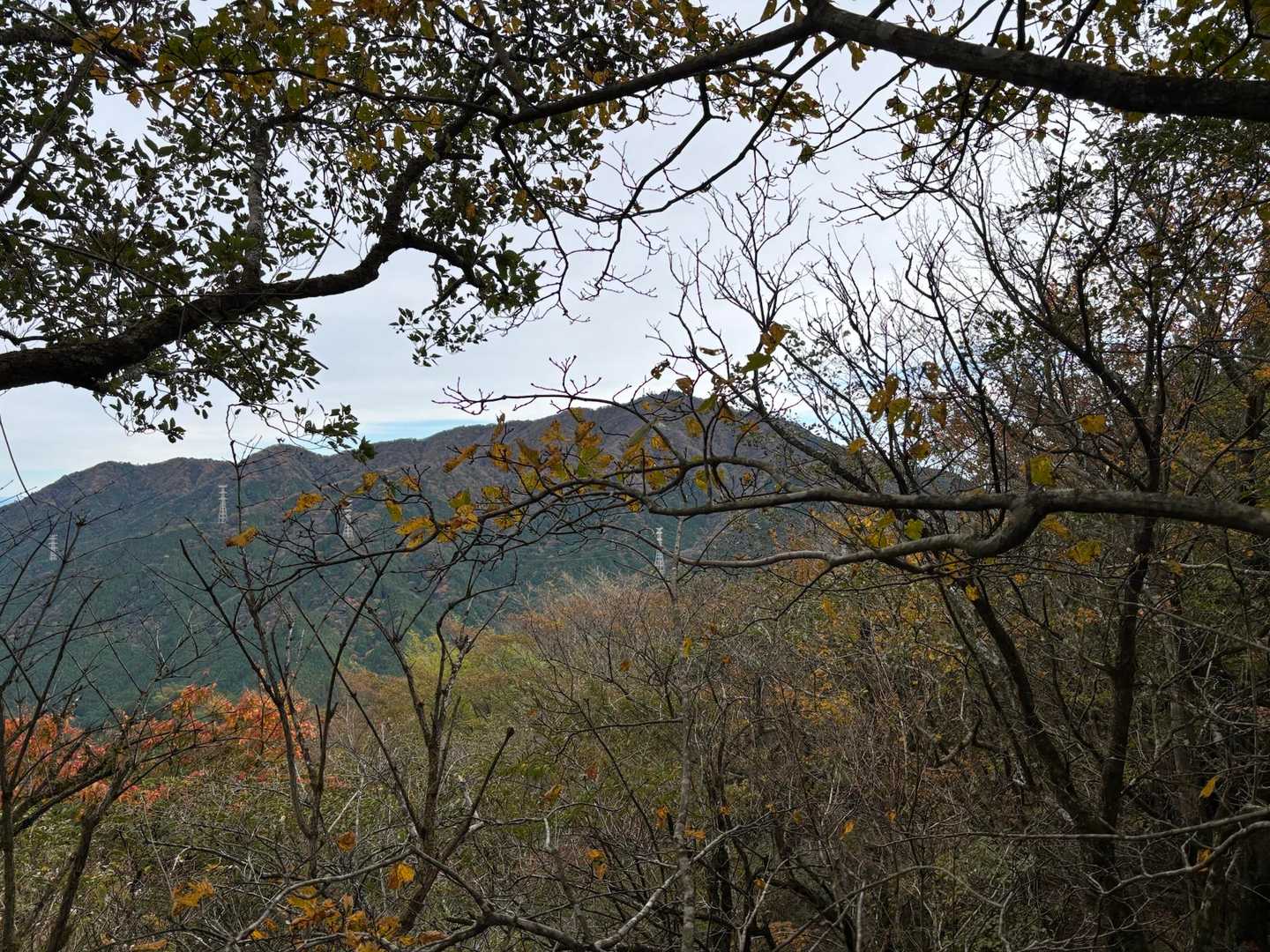 大山が見えてました