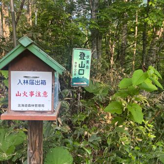 ちょっと進んでキャンプ場から登山口
昔はここまで車でこれたんだろうけど荒れた林道を全部作り直したらあと何年かかるんだろう？
完成したらありがたいですね