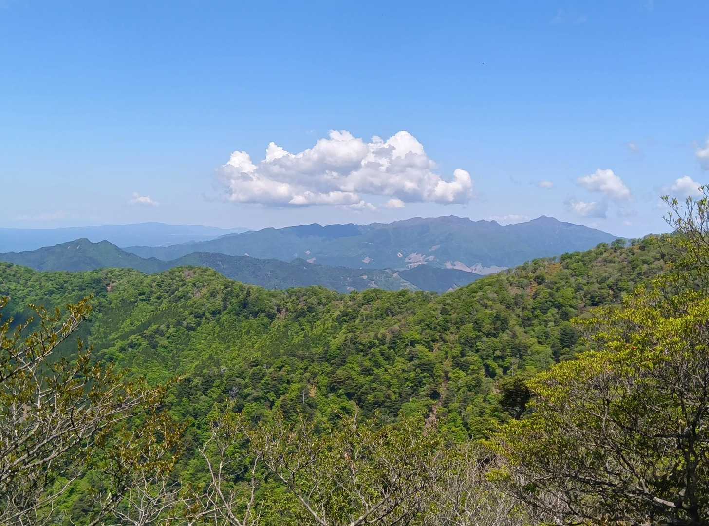 鹿納山登山口-鹿納谷登山口-鹿納山 往復コースの写真