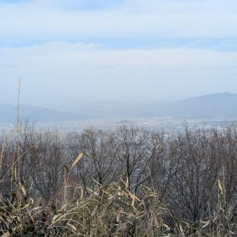 天理市や明日香方面