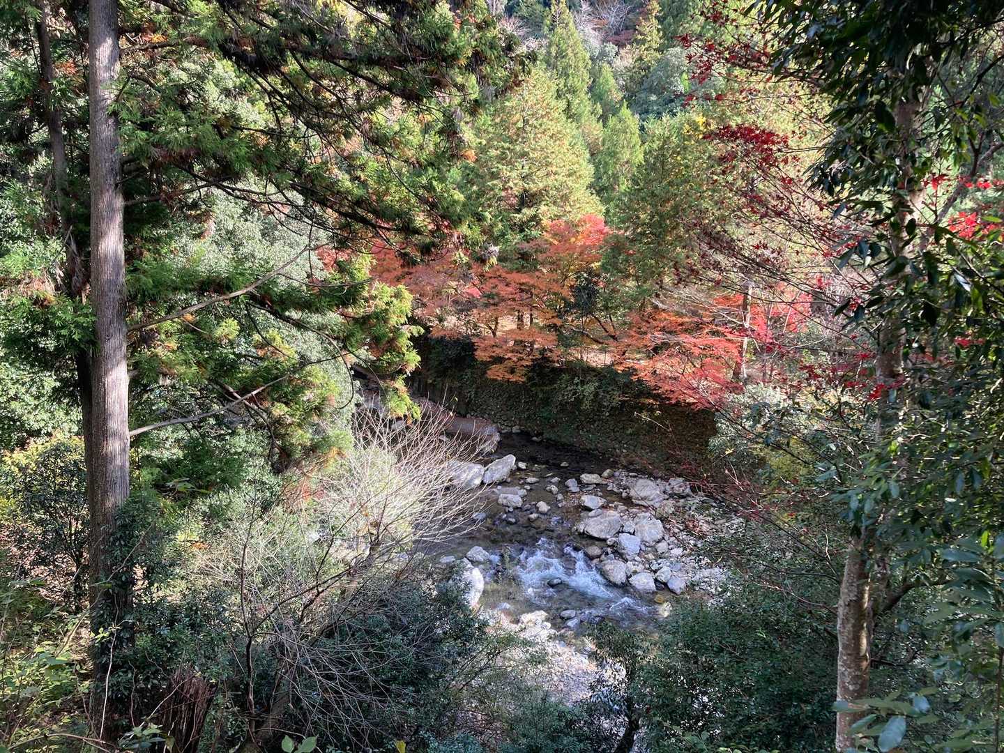 愛宕神社参詣表登山道入口-サカサマ峠 周回コースの写真