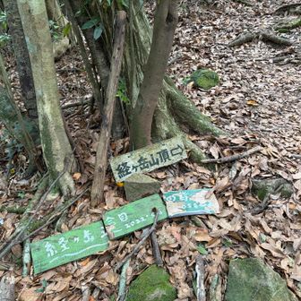 5合目です！