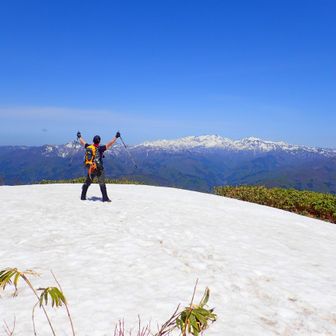 焼きそばパンダ🐼