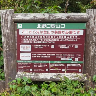 やっと北野口登山口😅
こちらからのルートを歩くのは初めて🎶