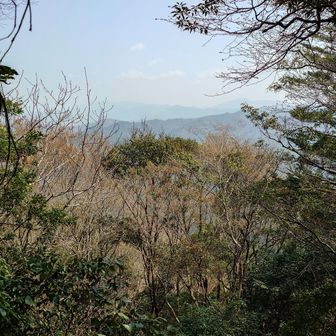 景観はこんなん😅