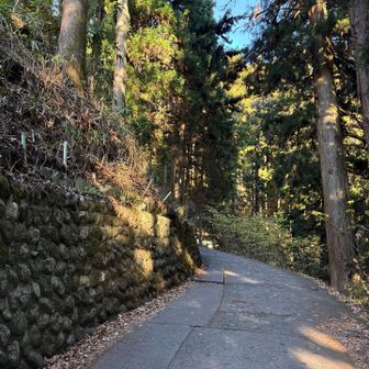 ほら、参道まだ登りあるし