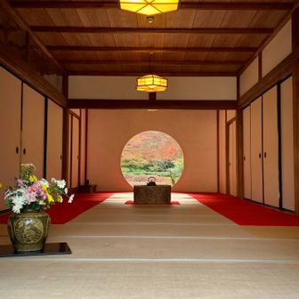 奥のお庭に入るには更に入場料500円。ここから眺めるだけにしました。