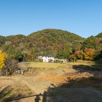 戻ってきた〜と思える安心な雰囲気