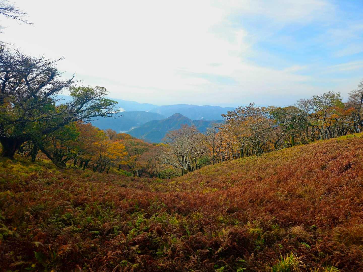 テーブルランドはいい感じ🍂