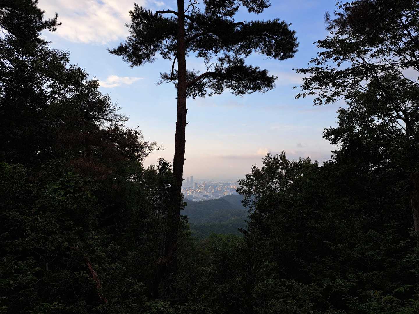勝尾寺南山 往復コースの写真