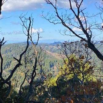 山頂からの景色