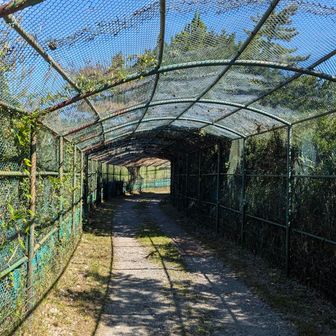 こう見えて車ががんがん来る危ない道
