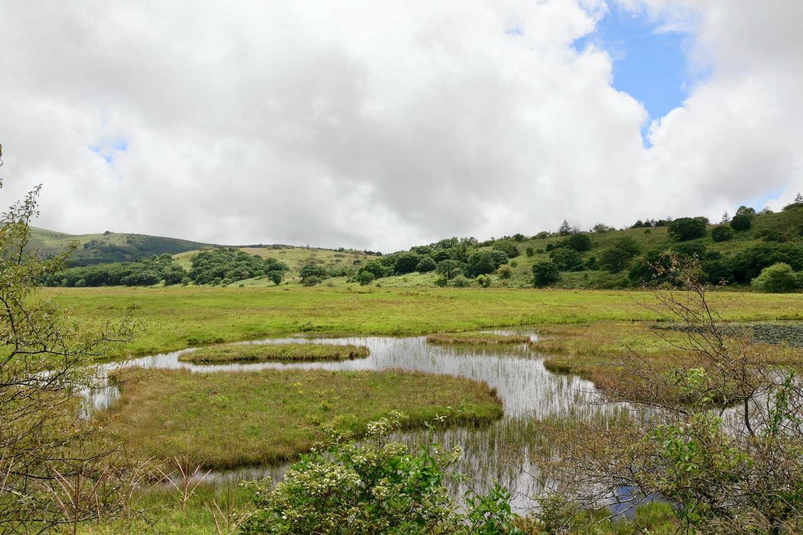 この池の中にもたくさんの生き物が住んでるんだろうな‥。