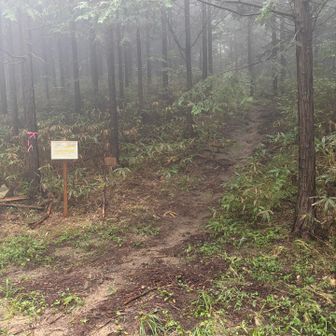 登山口
登山口の真ん前に2台ほど停めれます
登山口を過ぎてもうしばらく奥にも数台停められるようです