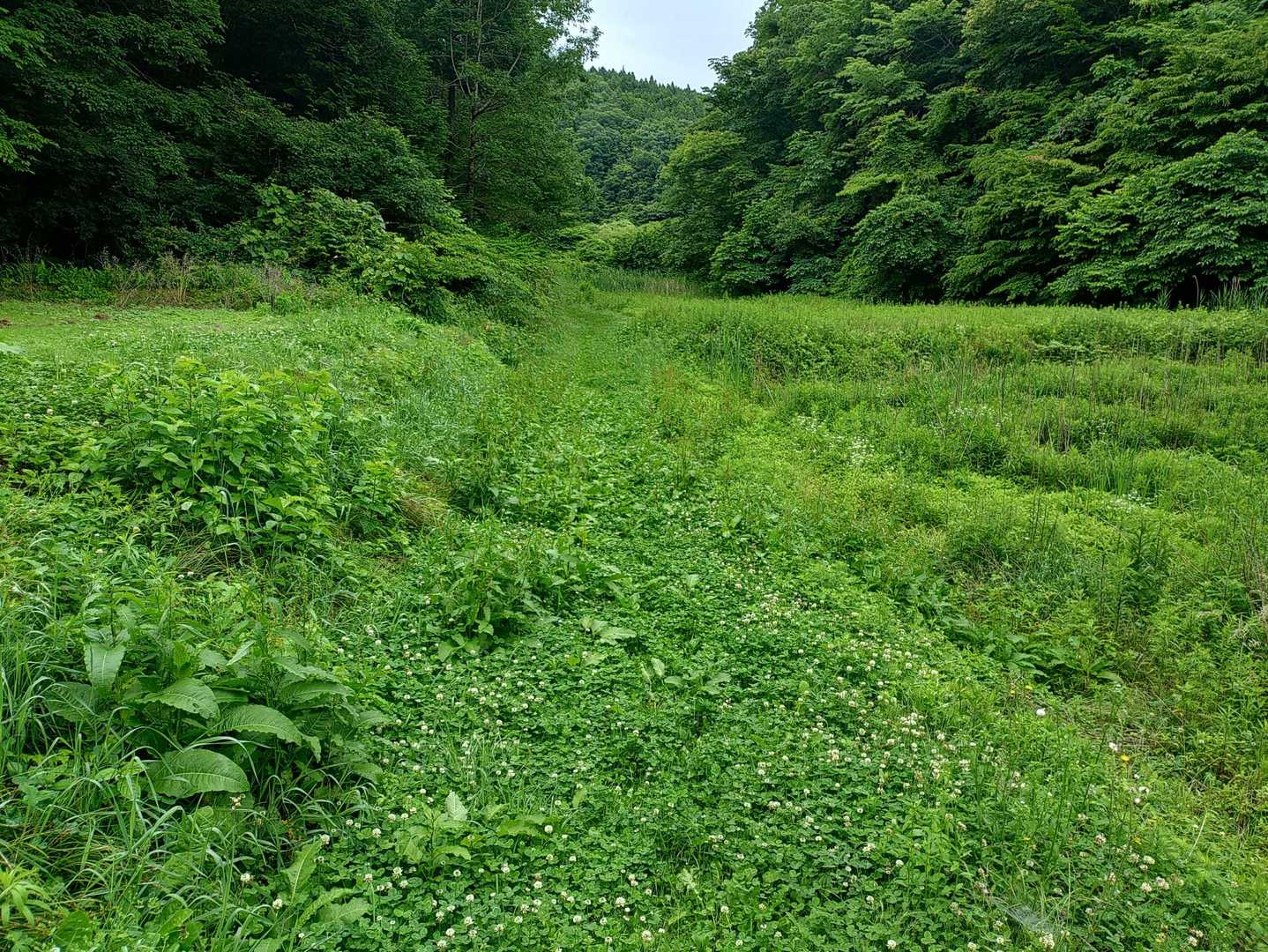 🌿🌿🌿それではSTART🚶‍♂️🚶‍♀️♪