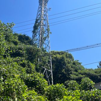 出発地点に戻ってきました。
雨が降る前に間に合った〜♪