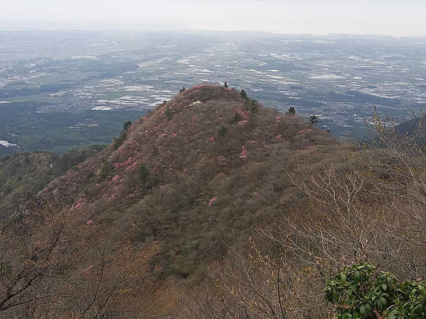 登って来た尾根は😍アカヤシオでピンク色❗