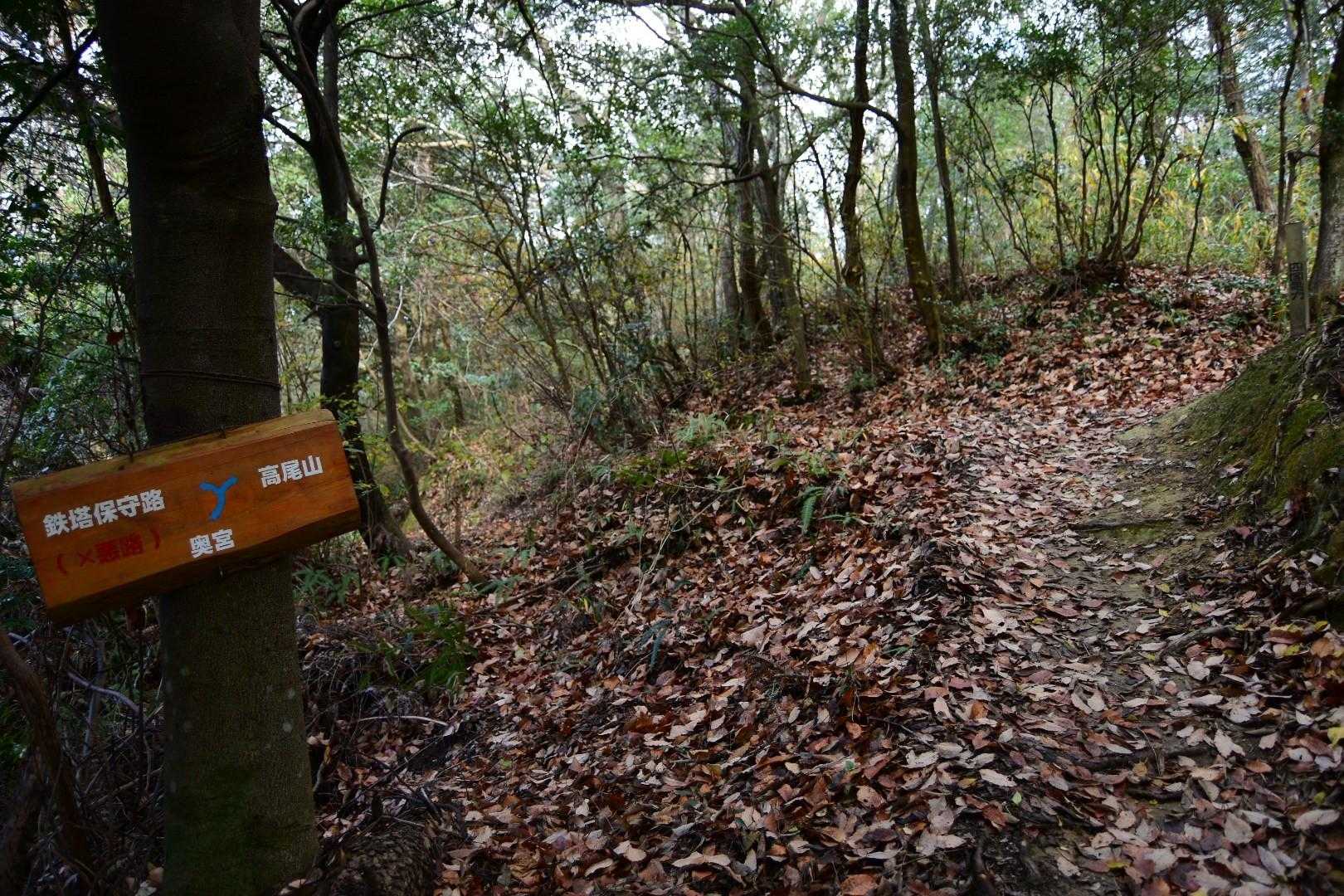 高尾山-藍染山 周回コースの写真