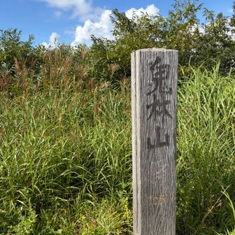 鬼林山🦒登頂＼(^o^)／