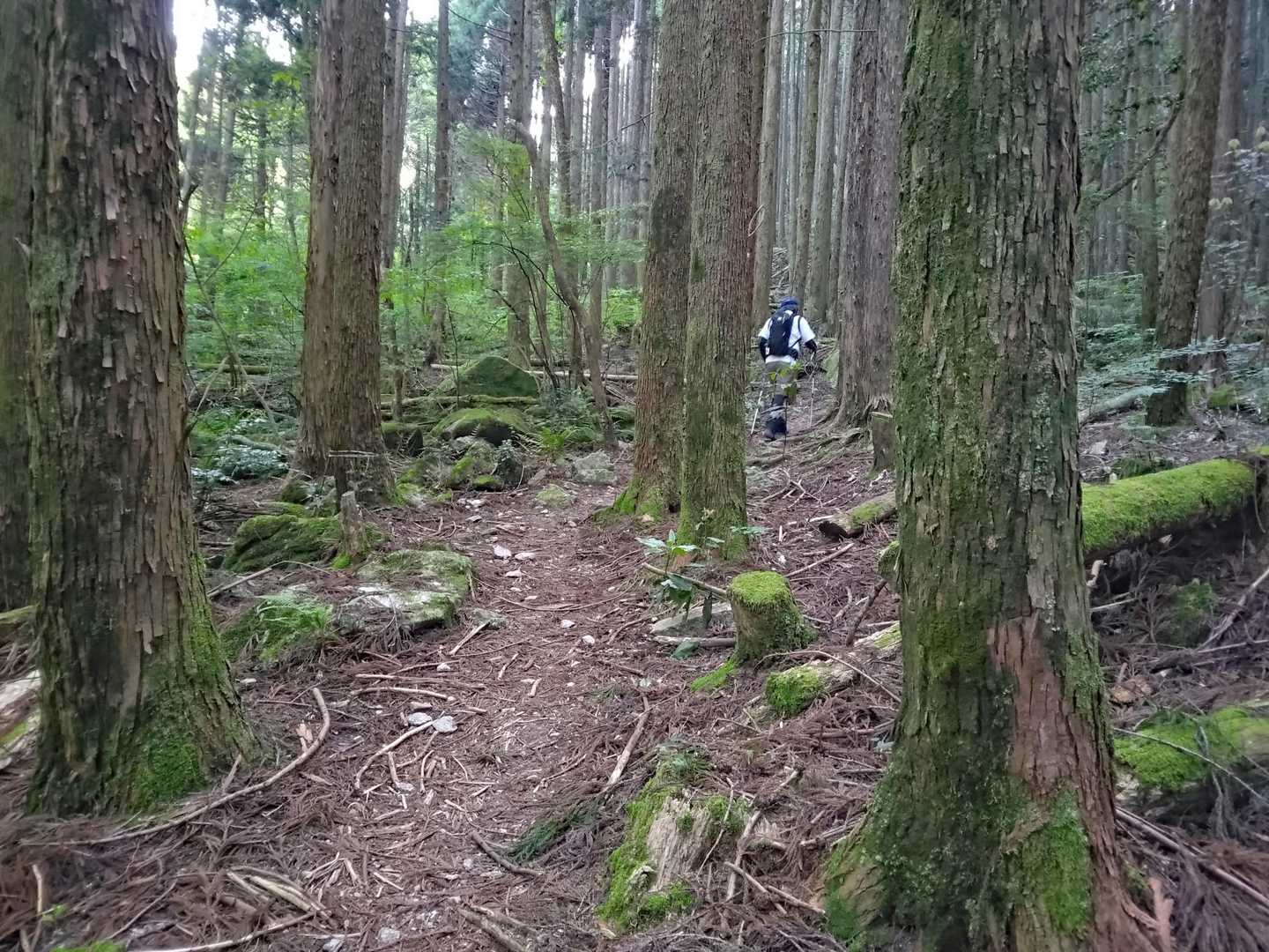 あらためてスタート
